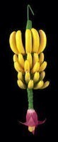 Faux Banana Plants