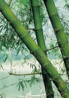 Oriental Artificial Bamboo Branches