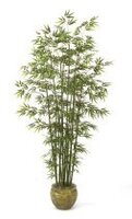Zen Faux Bamboo Trees