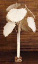 Chinese Palm