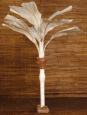 Gingko Palm