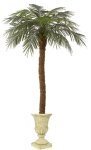 Tropical Artificial Date Palms