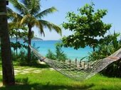 Tiki Huts , Hammock, Bar Sets
