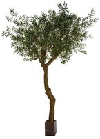 Euro Collection Olive & Fig Artificial Trees