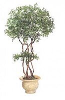 Oriental Mini Japanese Maple Artificial Trees