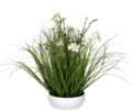 Artificial Potted Cream Cosmos and Green Grass in White Plastic Pot