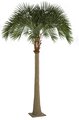 12.5 FOOT Outdoor UV  ROYAL PALM TREE WITH FIBERGLASS TRUNK AND METAL BASE PLATE