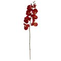30" Autumn Phalaenopsis Artificial Flower (Set of 6)
