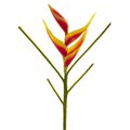 26" Heliconia Artificial Flower (Set of 4)