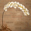 5' Large Phalaenopsis Orchid Artificial Flower (Set of 2)