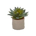 Mixed Succulent Artificial Plant (Set of 4)