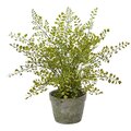 Maiden Hair Artificial Plant in Decorative Planter