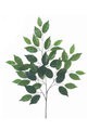21” Ficus Spray 50 leaves Sold per Dozen