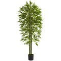6' Bamboo Tree UV Resistant (Indoor/Outdoor)