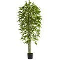 6 feet Bamboo Tree UV Resistant (Indoor/Outdoor)