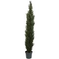 7' Mini Cedar Pine Tree w/3614 Tips in 12" Pot (Two Tone Green)