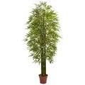Bamboo Tree UV Resistant (Indoor/Outdoor)