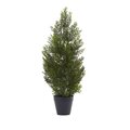 2' Mini Cedar Pine Tree (Indoor/Outdoor)