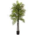 5.5 Foot Double Robellini Palm Tree UV Resistant (Indoor/Outdoor)
