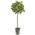38 inch Potted Orange Tree