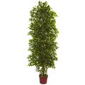 6' Four Tier Mini Ficus Artificial Tree UV Resistant 20" TO 24"  Wide (Indoor/Outdoor)