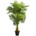 5' Double Stalk Hawaii Palm Artificial Tree