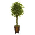 6' Braided Ficus Artificial Tree in Decorative Planter