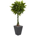 5' Money Artificial Tree in Slate Planter (Real Touch)