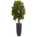 5.5' Fiddle Leaf Artificial Tree in Gray Cylinder Planter