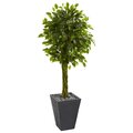 5' Braided Ficus Artificial Tree in Slate Planter UV Resistant (Indoor/Outdoor)