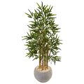 4' Bamboo Tree in Sand Colored Bowl