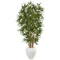 5' Bamboo Tree in Oval White Planter