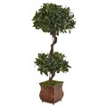 4.5' Sweet Bay Double Topiary Tree in Metal Planter