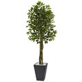 6.5' Ficus Tree with Slate Planter UV Resistant (Indoor Outdoor)