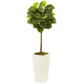 Fiddle Leaf Fig in White Planter (Real Touch)
