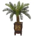 3' Cycas Tree in Wood Planter