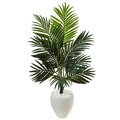 4.5' Kentia Palm Tree in White Oval Planter