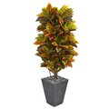 5.5' Croton Artificial Plant in Slate Planter (Real Touch)