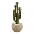 2.5' Cactus Artificial Plant in Bowl Planter