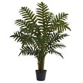 3.5' Evergreen Plant