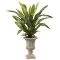 5' Dracaena Plant with Urn (Real Touch)
