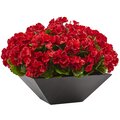 15 Inch Geranium With Black Planter UV Resistant (Indoor/Outdoor