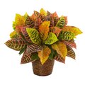 17" Garden Croton Artificial Plant in Basket (Real Touch)