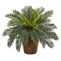 15" Cycas Artificial Plant in Basket