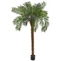 7' Cycas Palm Artificial Tree