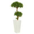 50" Bonsai Styled Podocarpus Artificial Tree in Tower Planter