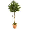 63" Olive Topiary Artificial Tree in Terra Cotta Planter UV Resistant (Indoor/Outdoor)