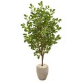 69" Oak Artificial Tree in Sand Colored Planter