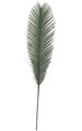 36 inches Outdoor Cycas Palm Branch - 7.25 inches Width - Green44 inches Cycas Palm Branch - 9 inches Width - Light Green Polyblend (Plastic) UV Rated Outdoor Foliage