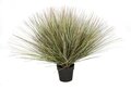 36 Inch Potted Mixed Pvc Onion Grass Bush With Red Tips